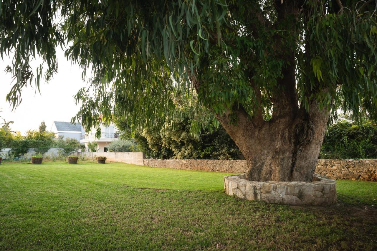 Cedar Tree Villa Kounoupidhiana Exterior photo