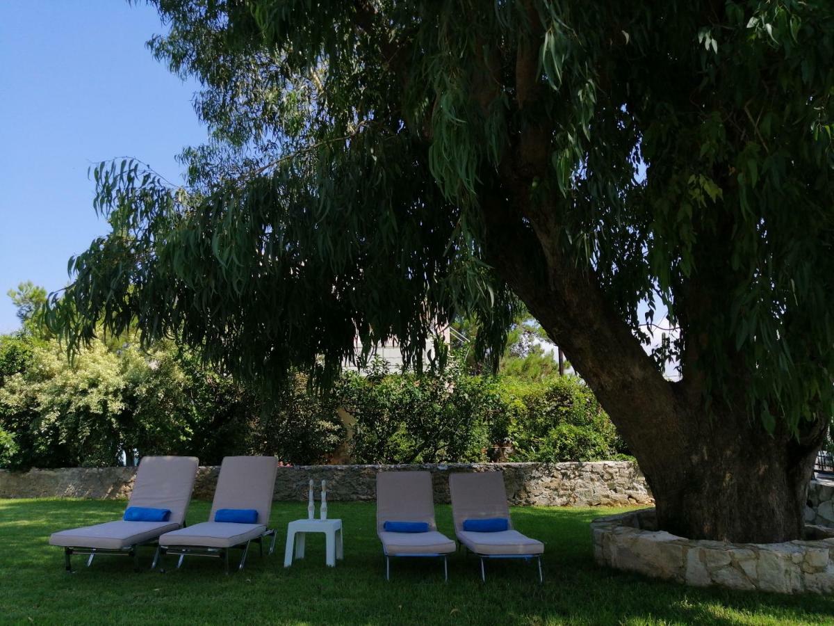 Cedar Tree Villa Kounoupidhiana Exterior photo